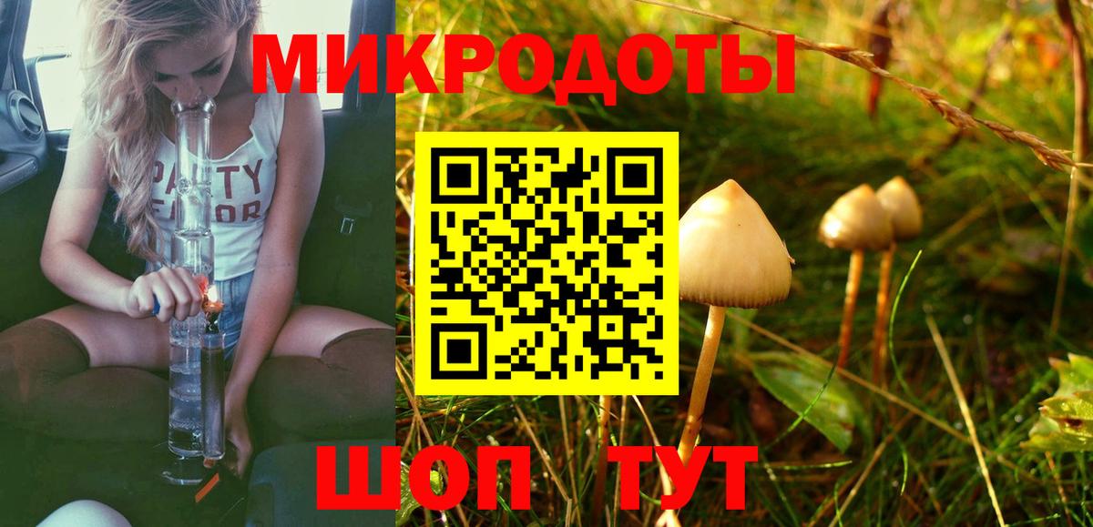 Галлюциногенные грибы прущие грибы Можайск