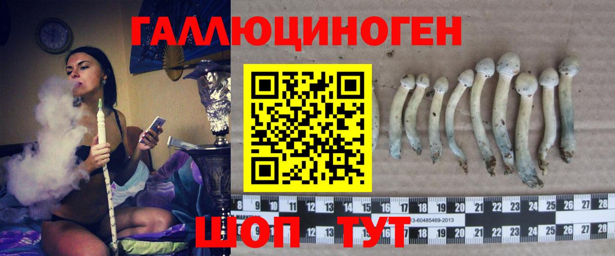продажа наркотиков  Псилоцибиновые грибы Magic Shrooms  Вход с VPN  Псилоцибиновые грибы Cubensis  Можайск 